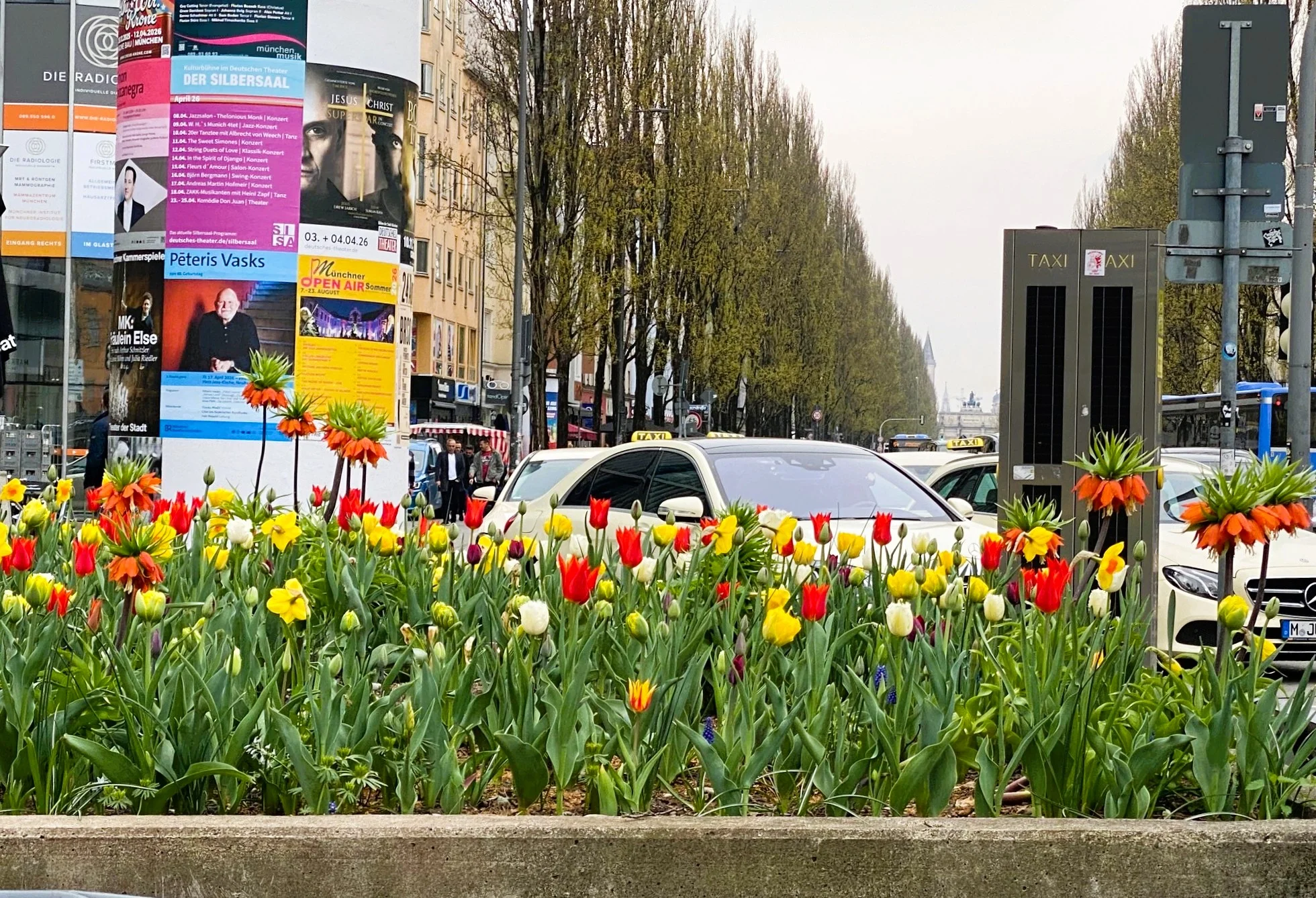 Tulpen Schwabing 4.webp