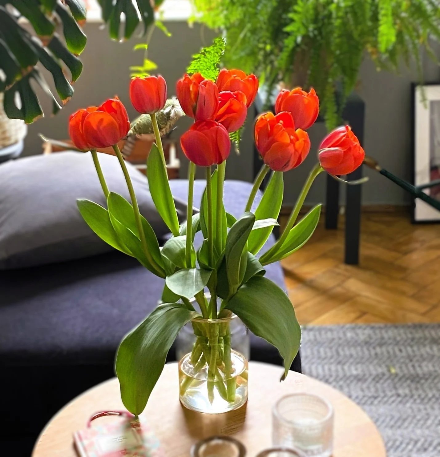 Tulpen7.webp