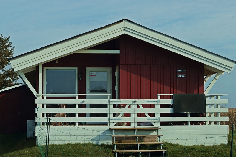 unser Ferienhaus_800.JPG