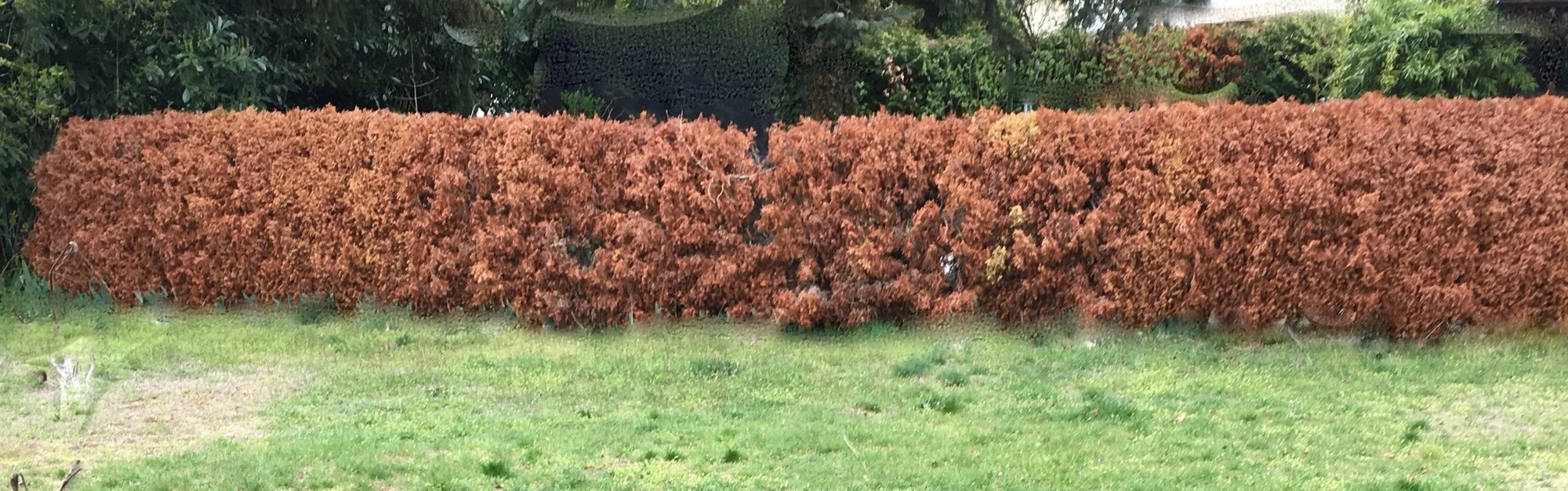 forum.hausgarten.net