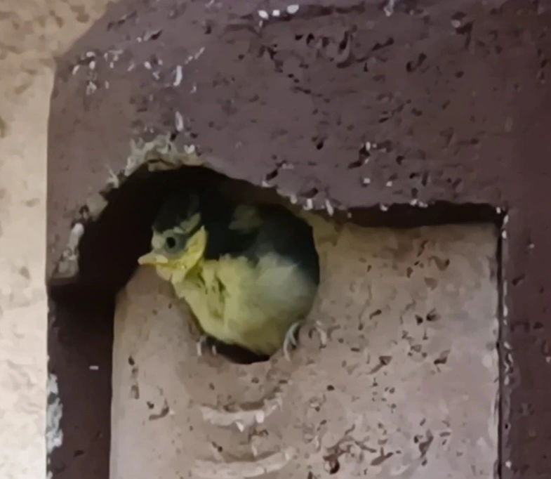 VideoCapture_20230225-181935.jpg