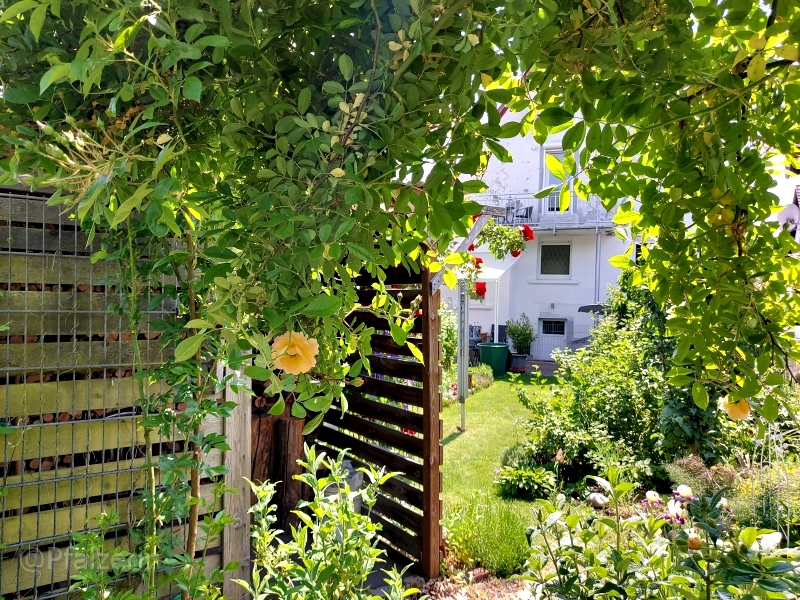 Villa Kunterbunt 6.webp