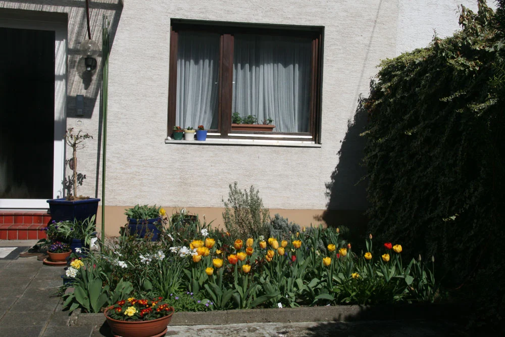 Idee für freistehende Rankhilfe für Clematis im gesucht