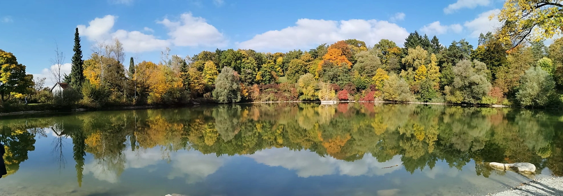 Waldpanorama.webp