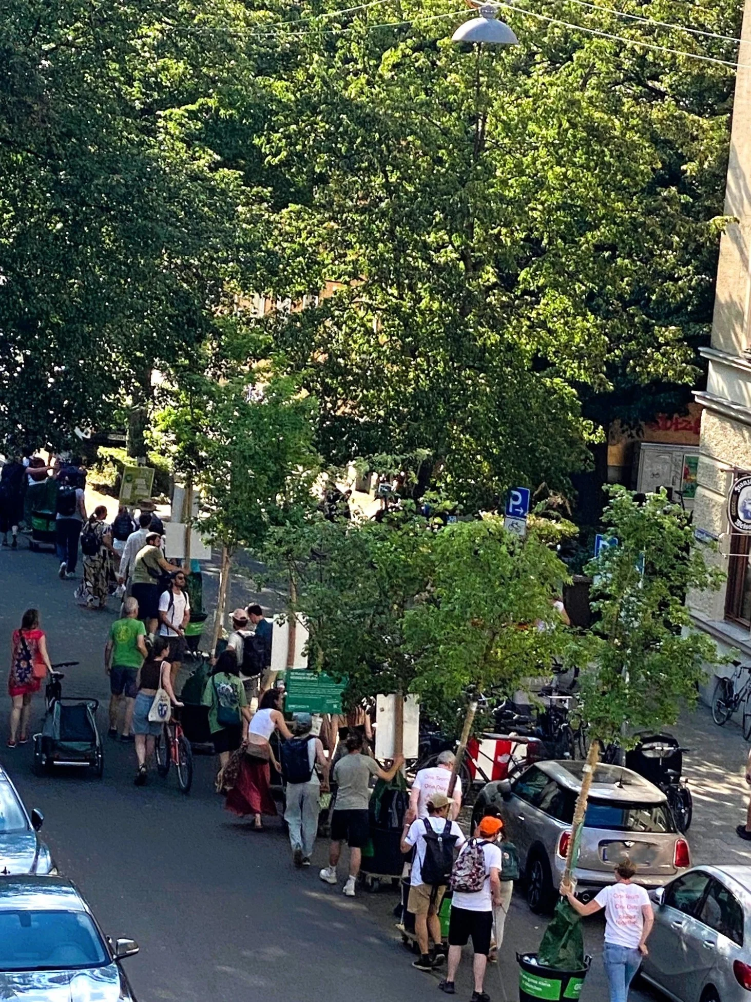 Wanderbäume.webp