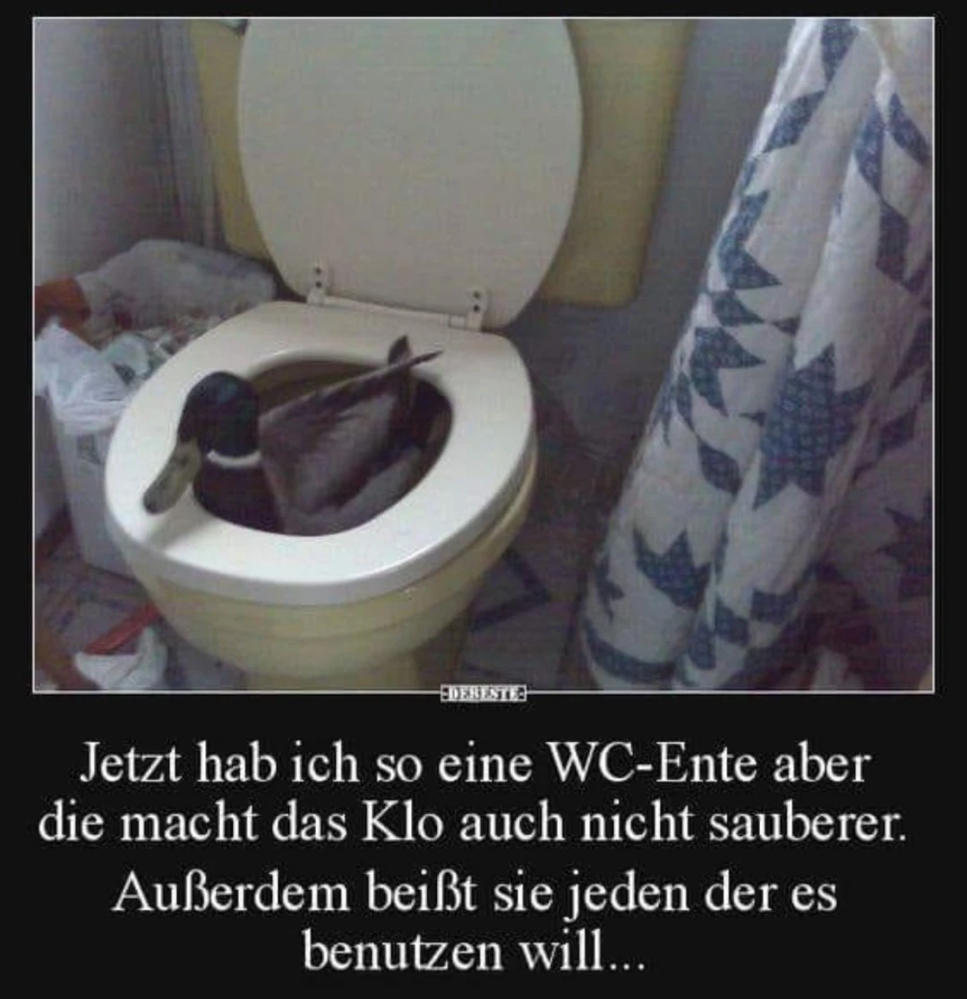 WC Ente.webp