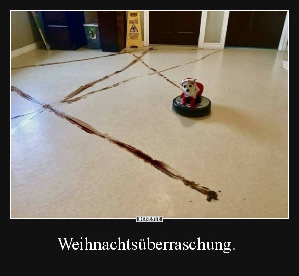 Weihnachtsüberraschung.jpg