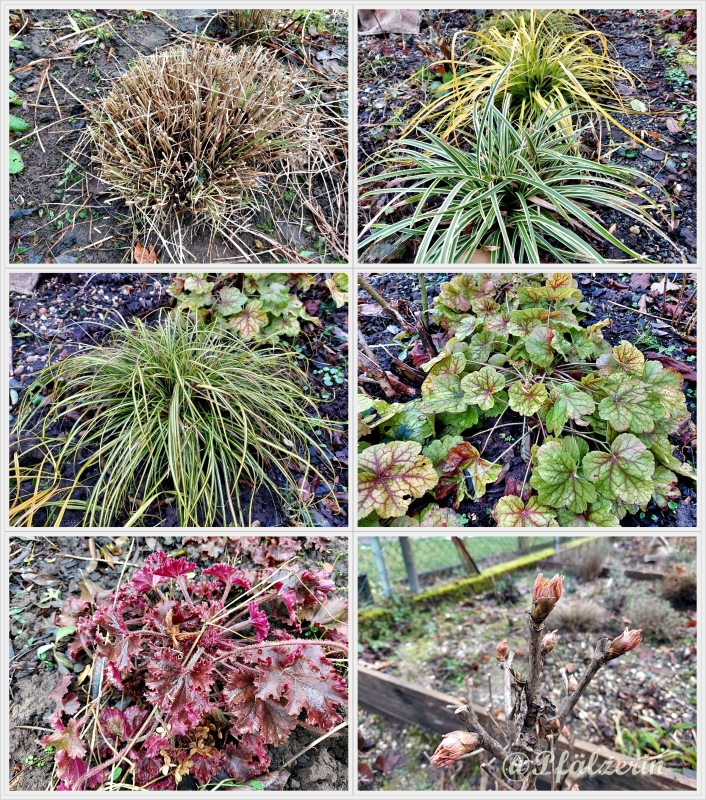 Werkeln im Garten.webp
