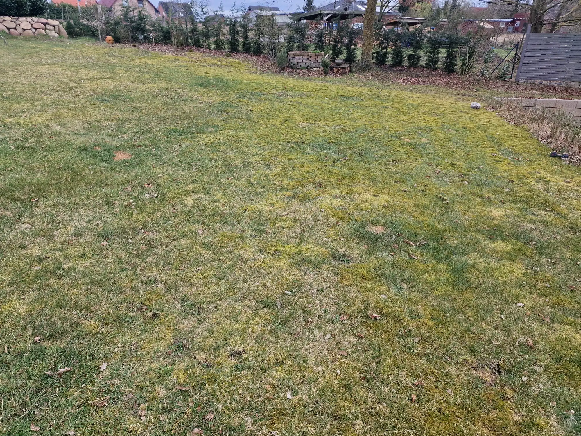 WhatsApp Bild 2025-04-01 um 20.17.24_0c6592df.webp