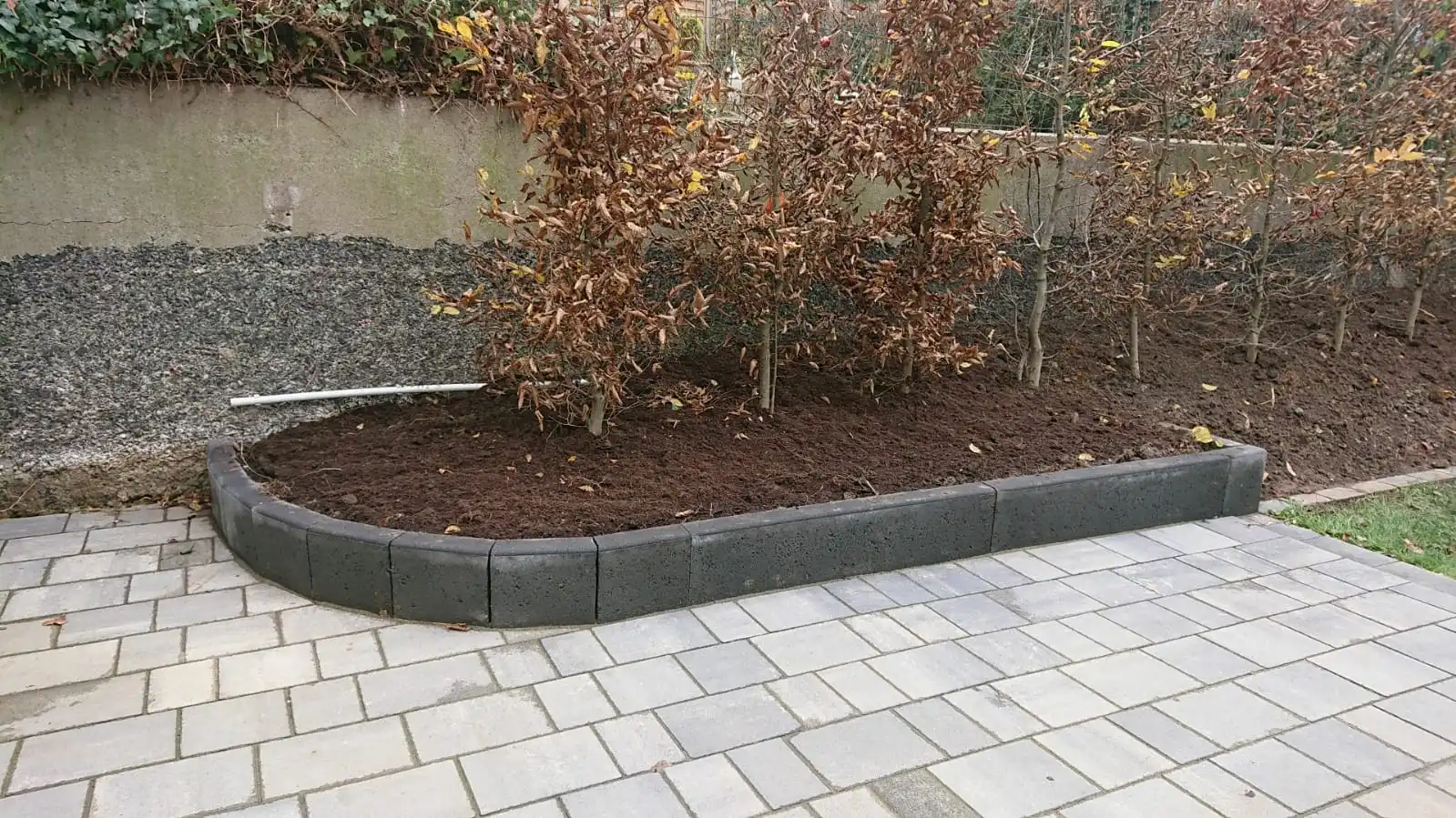 WhatsApp Image 2019-11-21 at 12.12.09.jpeg