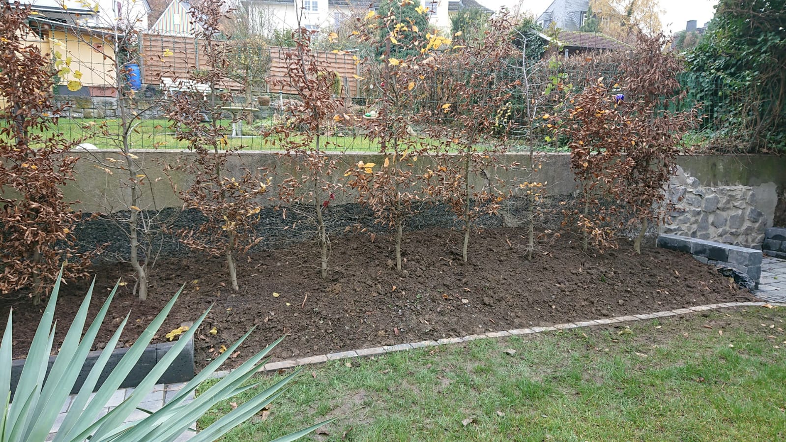 Tipps zur Beplanzung von Beet vor Hainbuche