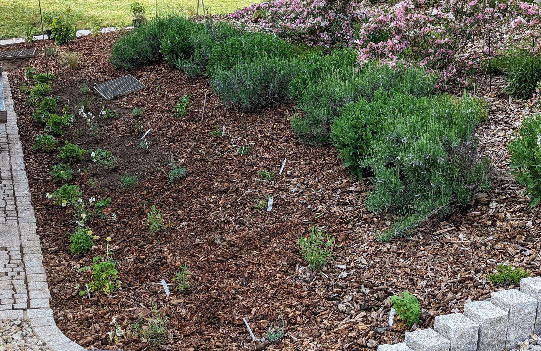 WhatsApp Image 2024-05-18 at 18.13.58.webp