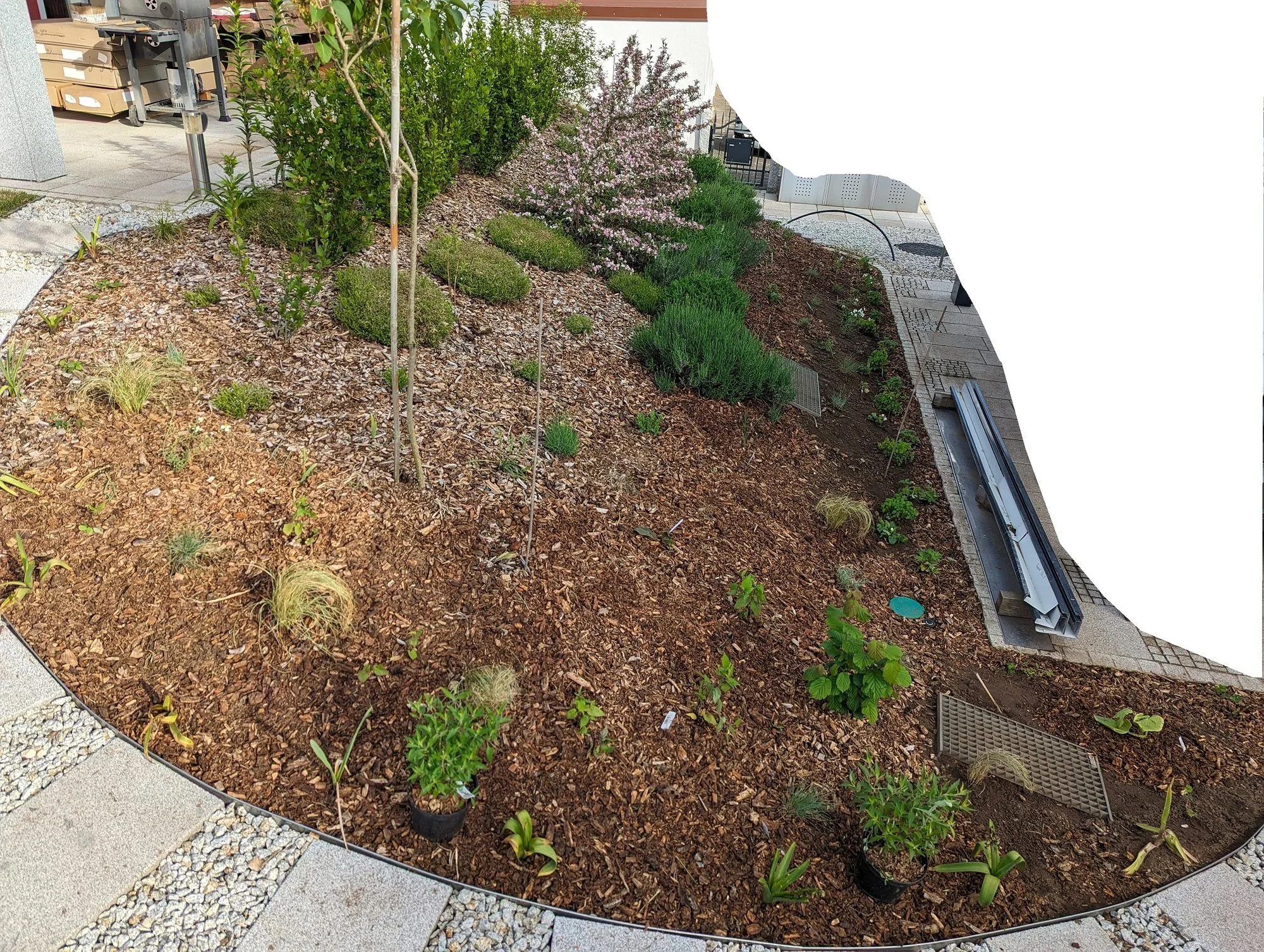 WhatsApp Image 2024-05-18 at 18.13.58b.webp