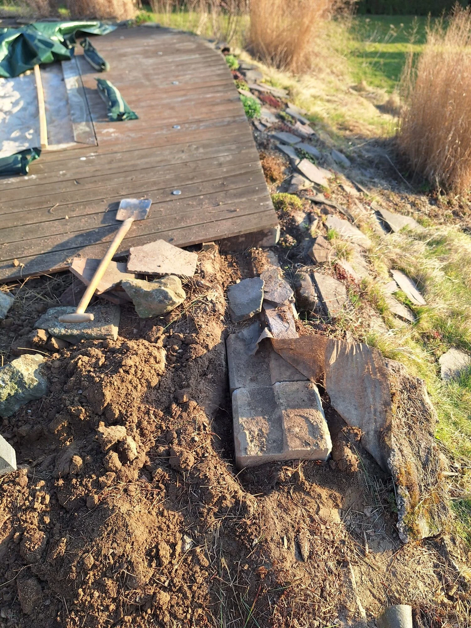 WhatsApp Image 2025-03-21 at 20.38.16.webp