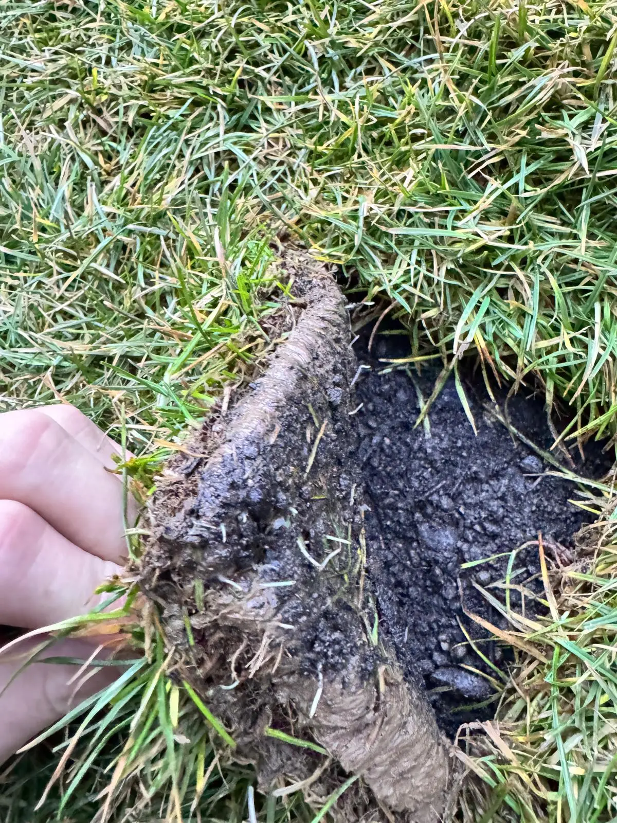 WhatsApp Image 2026-02-12 at 07.42.43 (2).webp