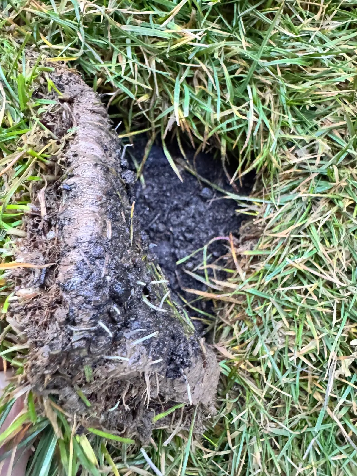 WhatsApp Image 2026-02-12 at 07.42.43.webp