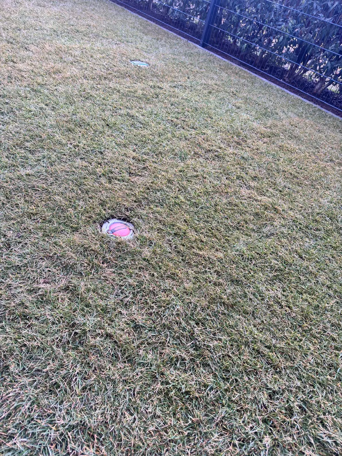 WhatsApp Image 2026-02-12 at 07.51.30.webp