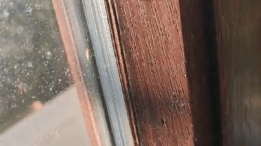 WhatsAppVideo2024-03-23at00.53.28-ezgif.com-cut (3).gif