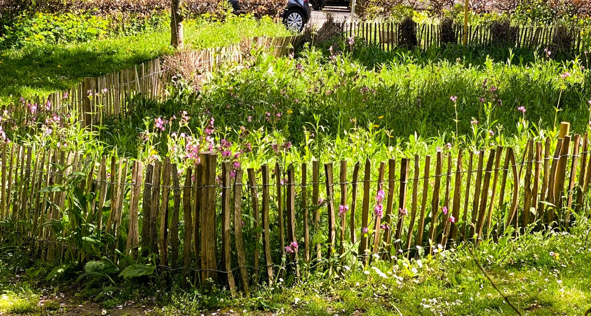 Wiese Stadt.webp