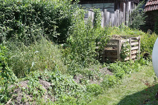 Zeigt her eure wilden Ecken im Garten
