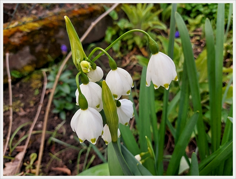 Willkommen im April 13 2.webp