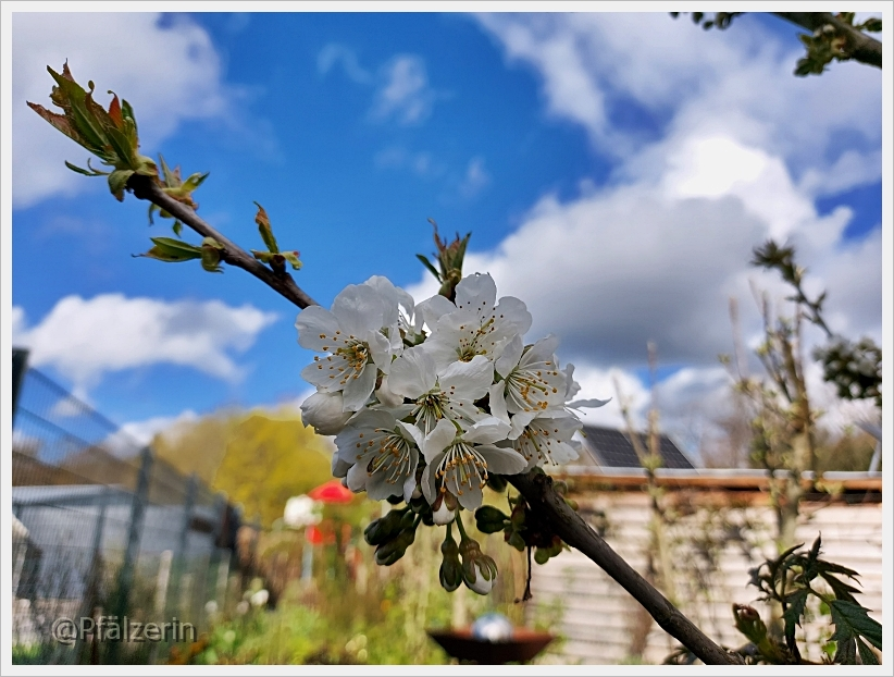 Willkommen im April 24.webp