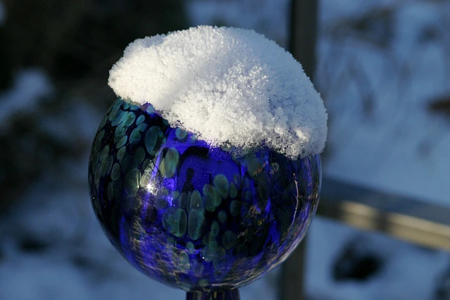 Winter 2509a.webp