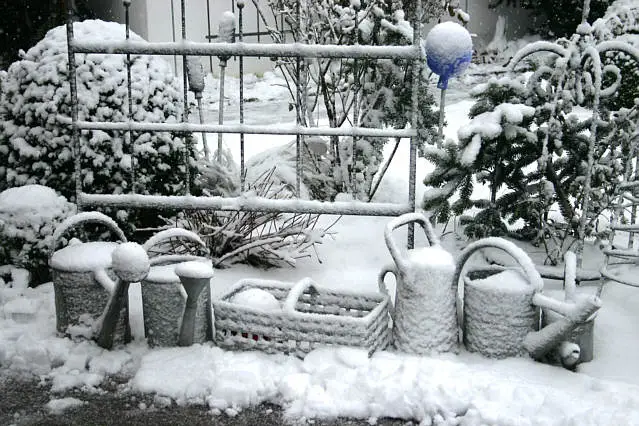 Winter 2609f.webp