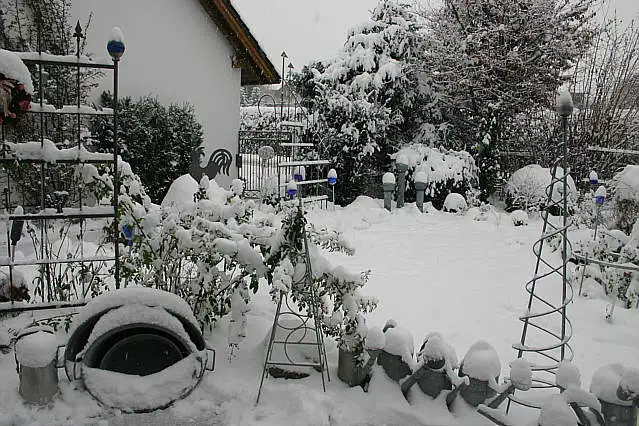 Winter A0510.webp