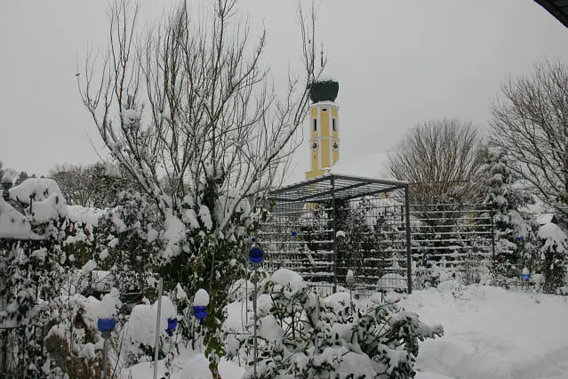 Winter A1110.webp