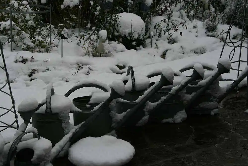Winter201201.webp