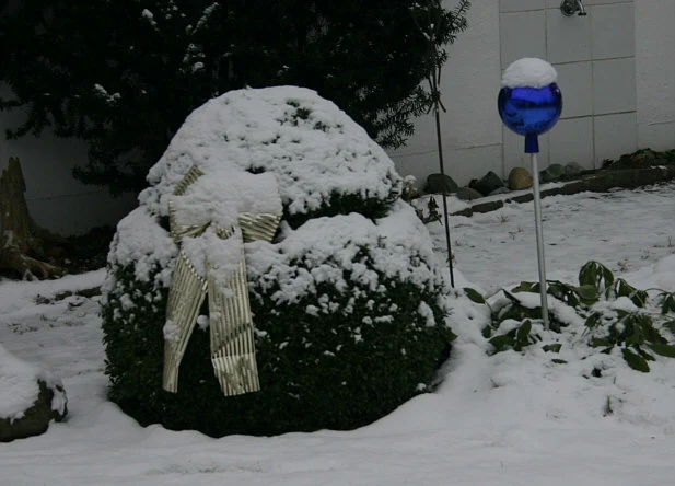 Winter2308.webp