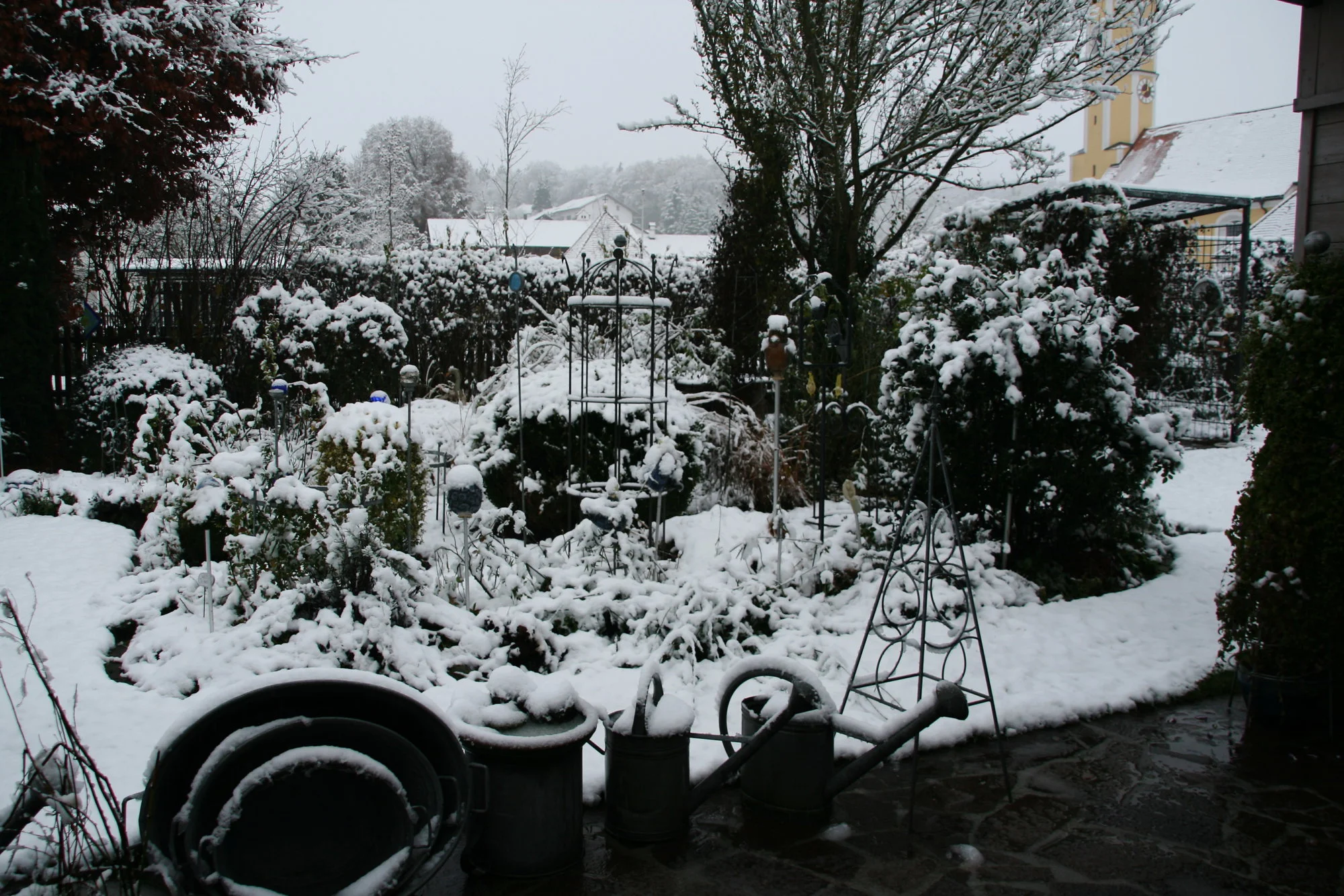 Winter5218.webp