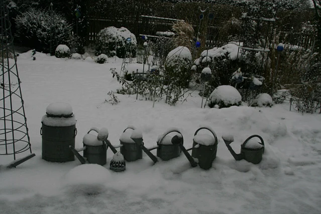 Winter9912a.webp
