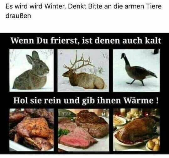 Winter_Wildtiere Frieren.webp