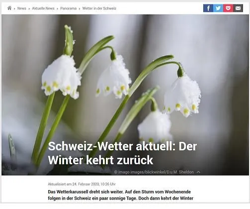 Winterwetter_Glöckchen.webp