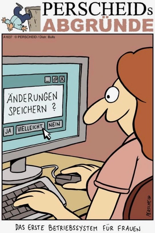 Witz_Frauen & Maenner_Computerprogramm für Frauen.webp