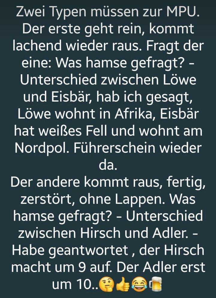 Witz_MPU_Fragen_Prüfung.jpg