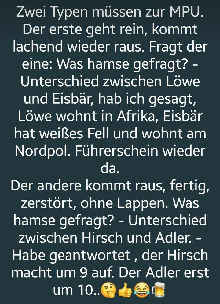 Witz_MPU_Fragen_Prüfung.jpg