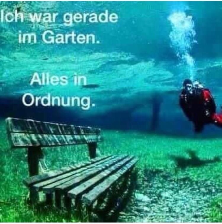 Witz_Regen_Garten überflutet.jpg