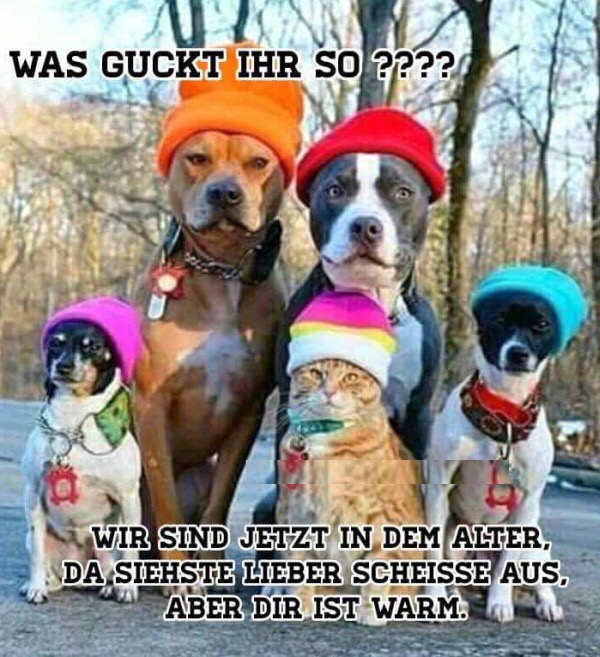 Witz_Winter_Mützen.jpg