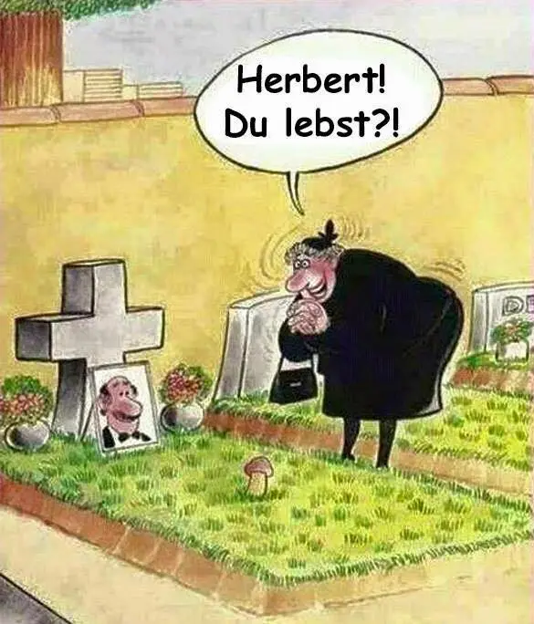 Witzige Bilder 012.webp