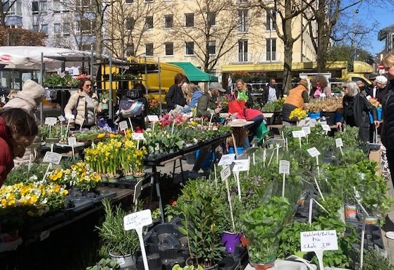 Wochenmarkt.webp