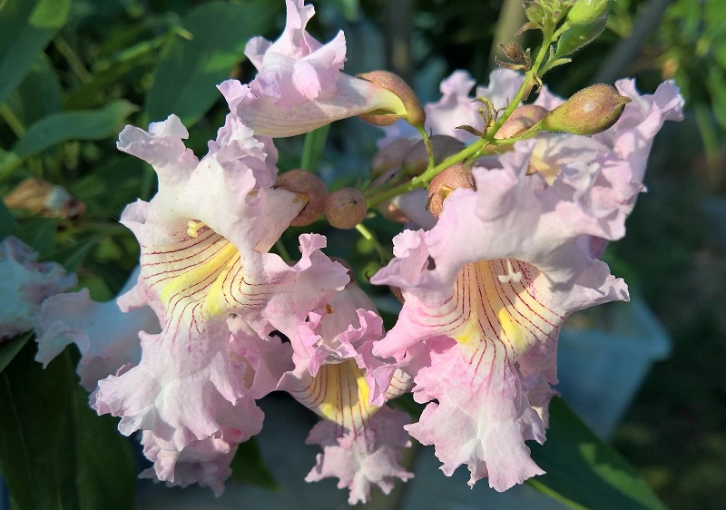 WP_20190627_07_35_51_Pro.webp
