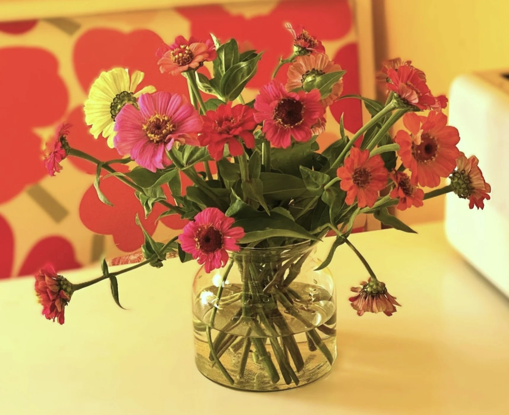 Zinnien2.webp