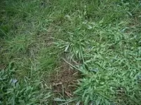 RIMG1122.webp