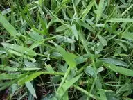 RIMG1117.webp