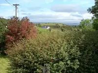 my home2.webp
