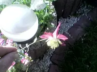 Gart19 06 06 14.webp