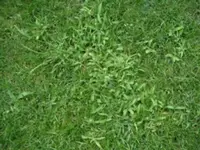 PICT0005.webp